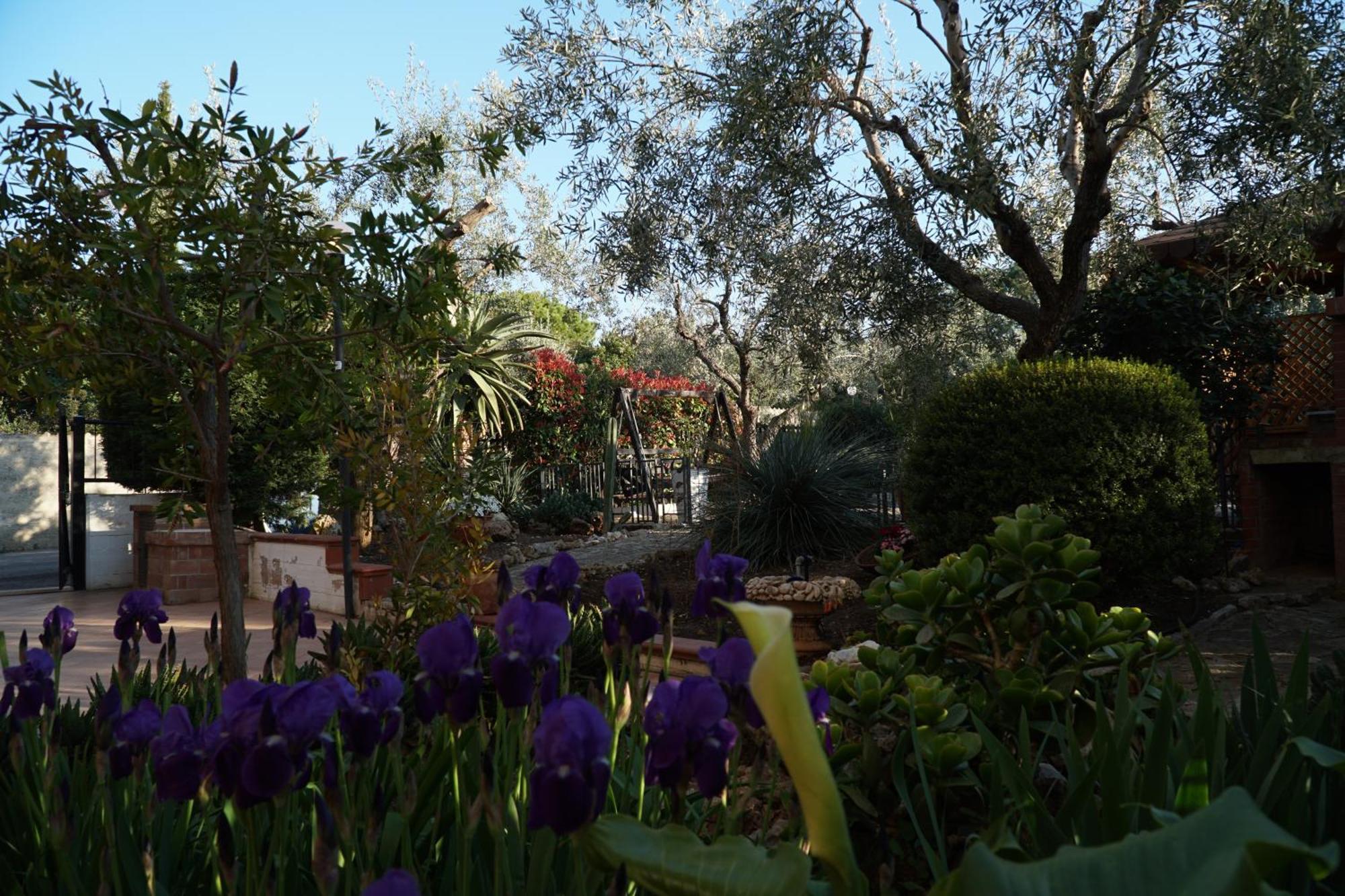 Villa Catalano Bisceglie Exterior photo